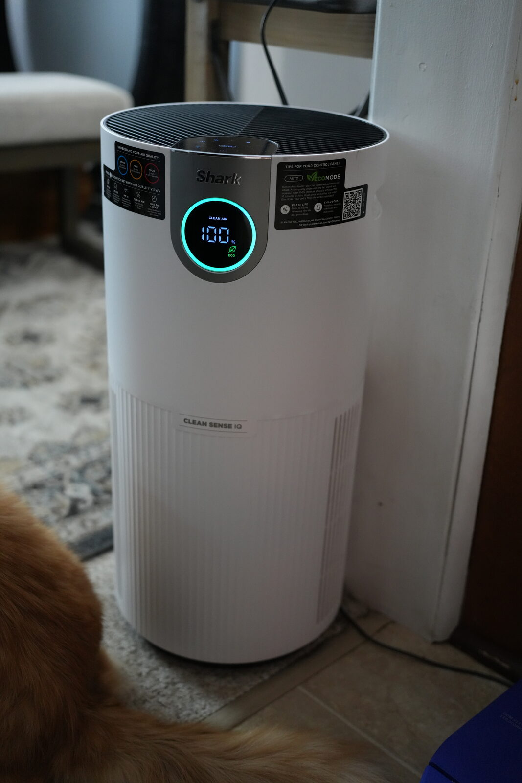 Shark HP200 Clean Sense IQ air purifier in the living room, with Herbie's orange tail in frame